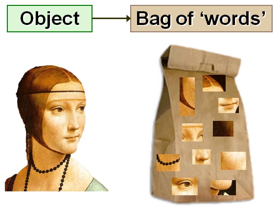 Illustration of Bag of words model in images